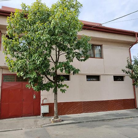Z Villa Bükreş Dış mekan fotoğraf